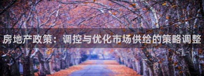 澳门和记官网娱乐场：房地产政策：调控与优化市场供给的策略调整