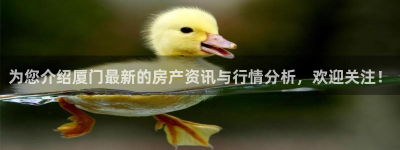 和记官网客户端：为您介绍厦门最新的房产资讯与行情分析，欢迎关