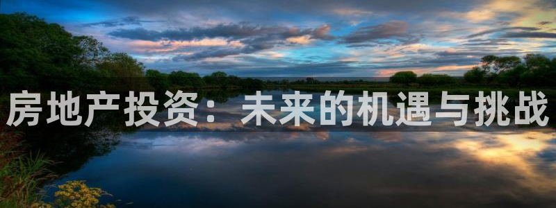 和记官网 (中国区)官方网站：房地产投资：未来的机遇与挑战