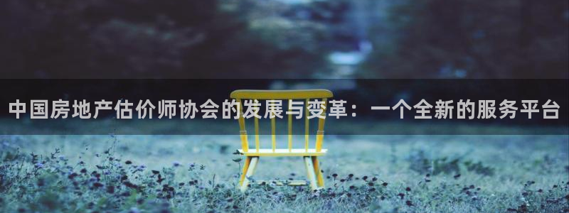 和记手机官网：中国房地产估价师协会的发展与变革：一个全新的服
