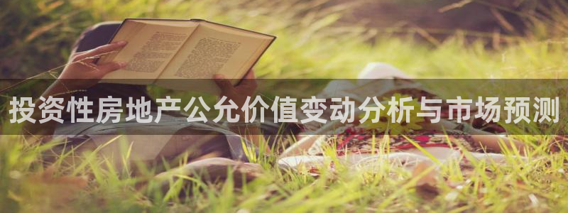 和记怡情官网电话：投资性房地产公允价值变动分析与市场预测