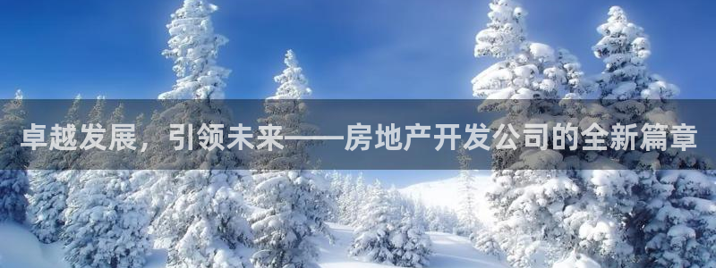 和记餐厅官网：卓越发展，引领未来——房地产开发公司的全新篇章