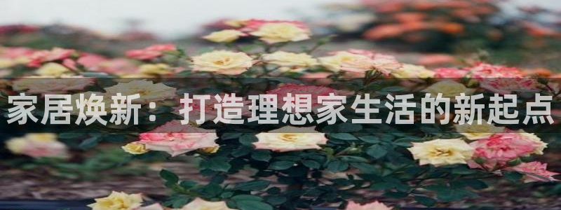 3g和记官网：家居焕新：打造理想家生活的新起点