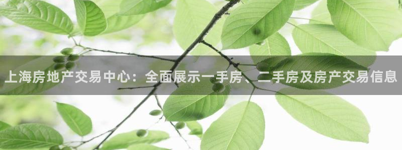 和记国际电讯官网：上海房地产交易中心：全面展示一手房、二手房