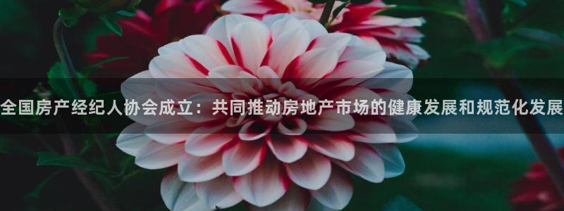 和记租车官网：全国房产经纪人协会成立：共同推动房地产市场的健