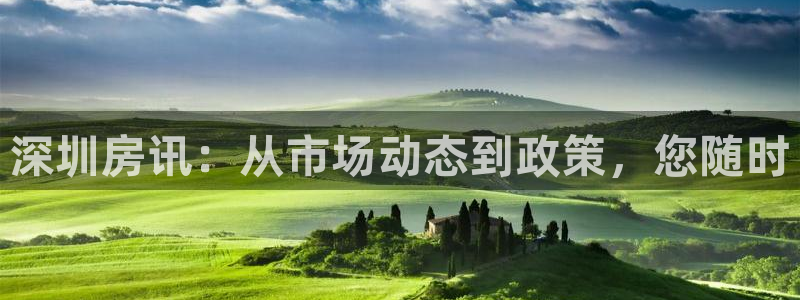 和木记官网：深圳房讯：从市场动态到政策，您随时