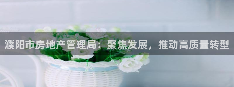 和帆记官网：濮阳市房地产管理局：聚焦发展，推动高质量转型