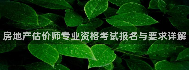 和记手机客户端官网