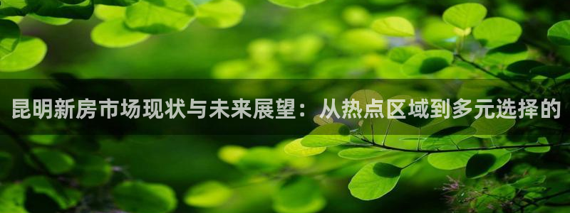和记app官方官网登录：昆明新房市场现状与未来展望：从热点区