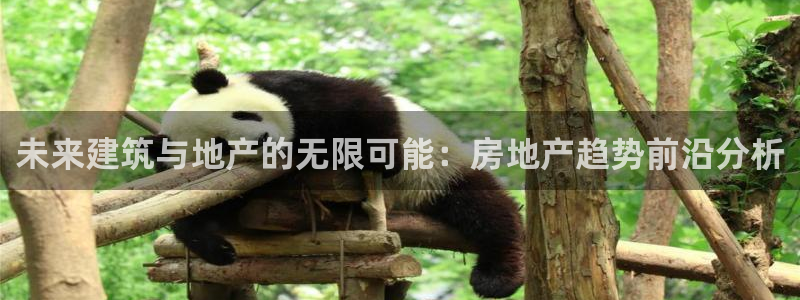 和记3电讯官网：未来建筑与地产的无限可能：房地产趋势前沿分析
