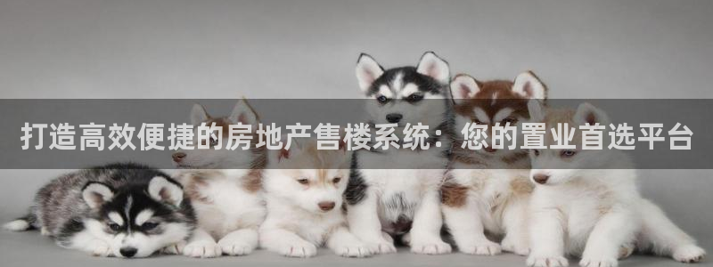 和记官网登陆：打造高效便捷的房地产售楼系统：您的置业首选平台