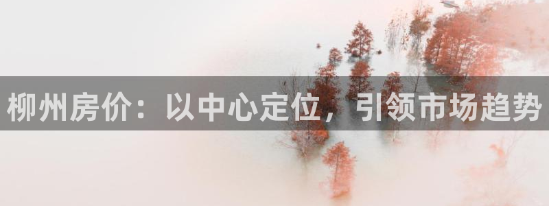 和记登录官网：柳州房价：以中心定位，引领市场趋势