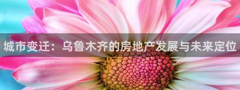 和记洋行官网：城市变迁：乌鲁木齐的房地产发展与未来定位