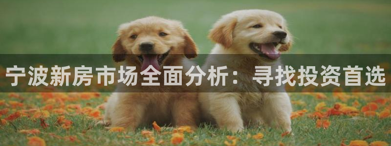 香港和记通讯官网：宁波新房市场全面分析：寻找投资首选