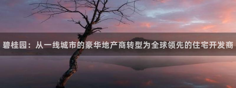 和记娱乐手机官网：碧桂园：从一线城市的豪华地产商转型为全球领