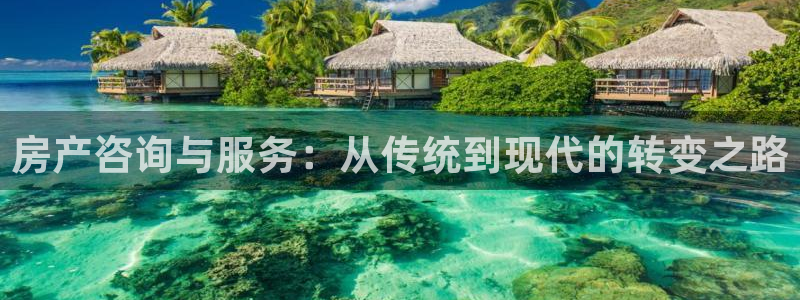 3和记官网：房产咨询与服务：从传统到现代的转变之路
