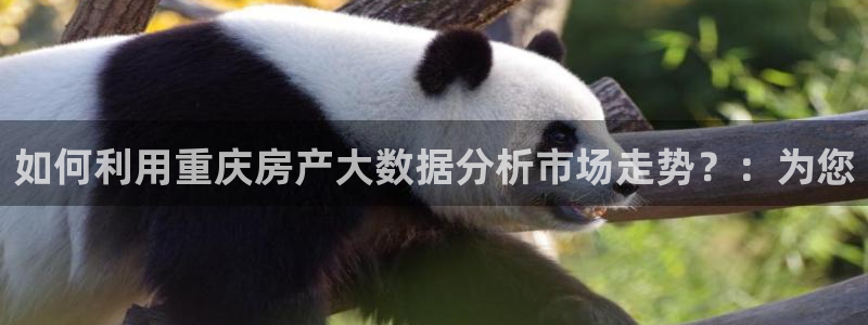 和记h8官网：如何利用重庆房产大数据分析市场走势？：为您