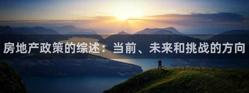 和记娱乐怡情官网：房地产政策的综述：当前、未来和挑战的方向
