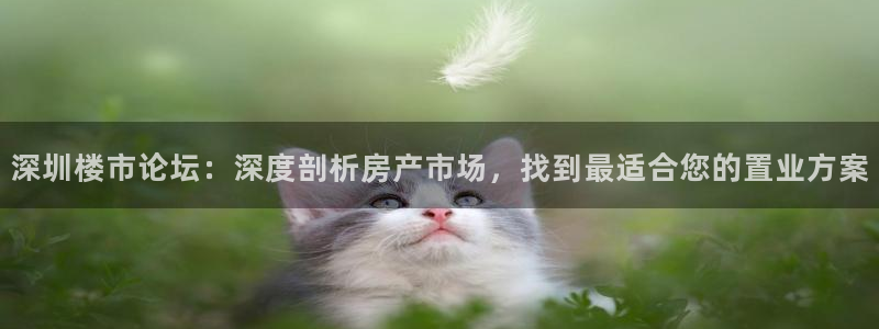 和记电讯 官网：深圳楼市论坛：深度剖析房产市场，找到最适合您