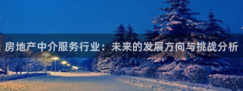 印尼和记官网：房地产中介服务行业：未来的发展方向与挑战分析