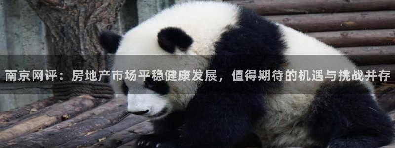 和记电游官网：南京网评：房地产市场平稳健康发展，值得期待的机