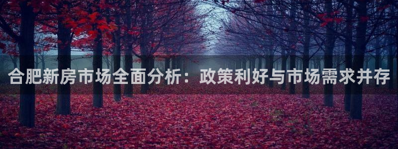 缅甸和记平台官网：合肥新房市场全面分析：政策利好与市场需求并