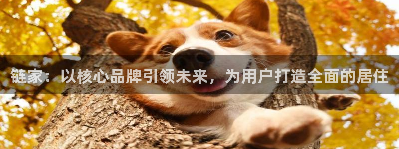 和木记手帕官网：链家：以核心品牌引领未来，为用户打造全面的居