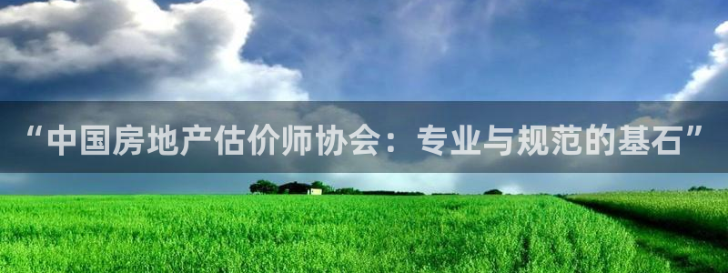 和记黄埔官网：“中国房地产估价师协会：专业与规范的基石”