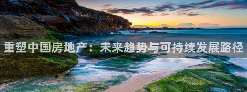 和元李记官网：重塑中国房地产：未来趋势与可持续发展路径