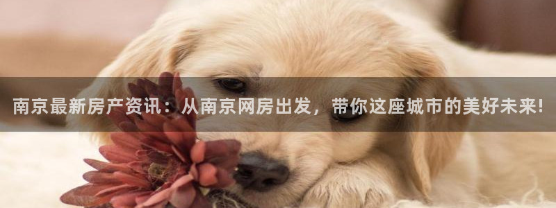 和记电讯澳门官网：南京最新房产资讯：从南京网房出发，带你这座