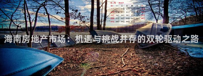 和记黄埔公司官网：海南房地产市场：机遇与挑战并存的双轮驱动之