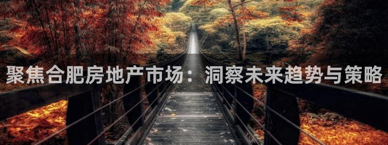 和记h188官网：聚焦合肥房地产市场：洞察未来趋势与策略