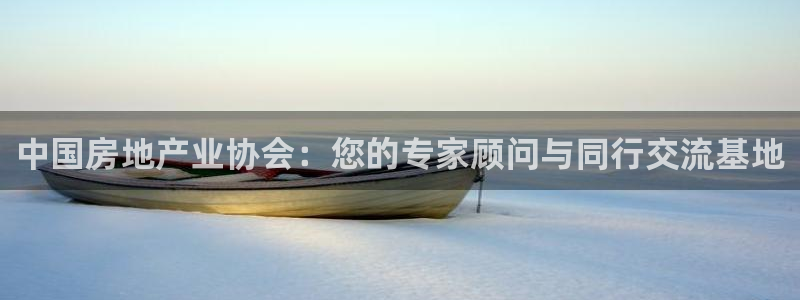 香港和记电讯公司官网：中国房地产业协会：您的专家顾问与同行交