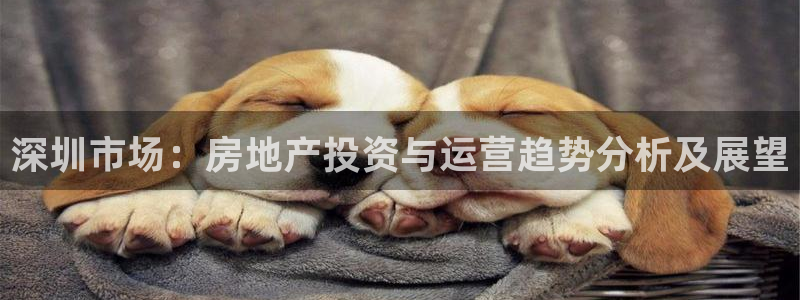 和帆记加盟官网：深圳市场：房地产投资与运营趋势分析及展望