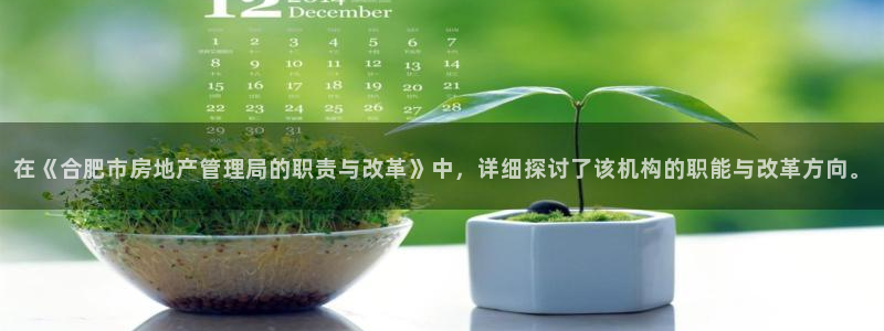 和记h88官网：在《合肥市房地产管理局的职责与改革》中，详细