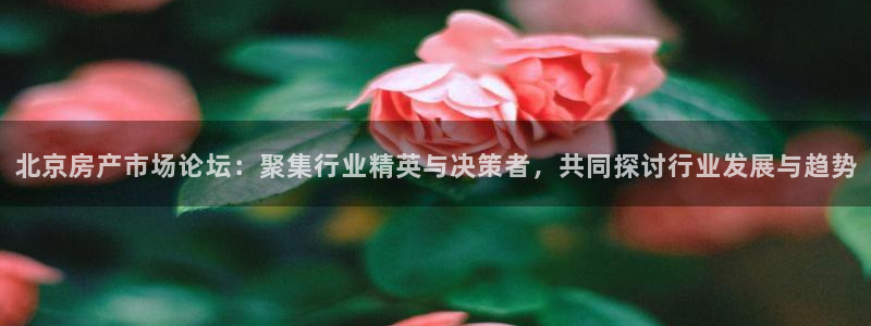 和木记官网：北京房产市场论坛：聚集行业精英与决策者，共同探讨