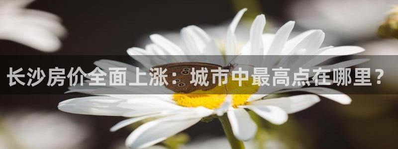 上海和记官网：长沙房价全面上涨：城市中最高点在哪里？