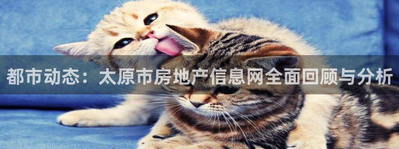 和记h8官网：都市动态：太原市房地产信息网全面回顾与分析