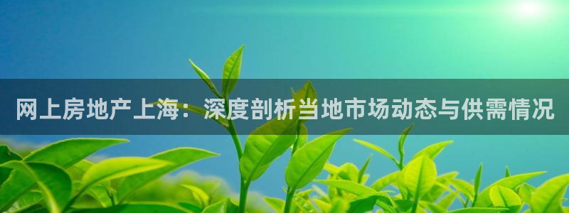 缅甸和记国际官网：网上房地产上海：深度剖析当地市场动态与供需