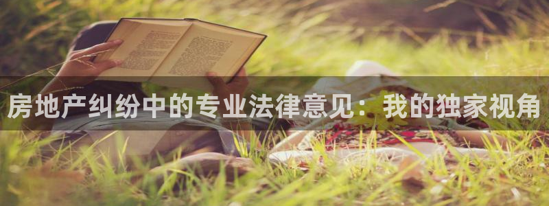 三宇和记官网：房地产纠纷中的专业法律意见：我的独家视角