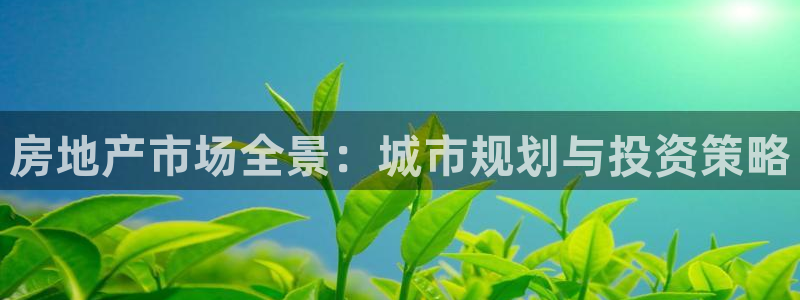 和记官网官网入口：房地产市场全景：城市规划与投资策略