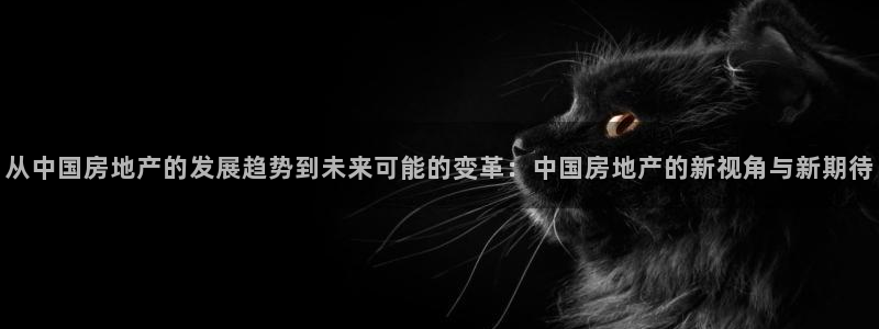 和木记手帕官网：从中国房地产的发展趋势到未来可能的变革：中国