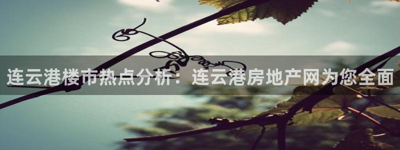 香港和记电讯公司官网：连云港楼市热点分析：连云港房地产网为您