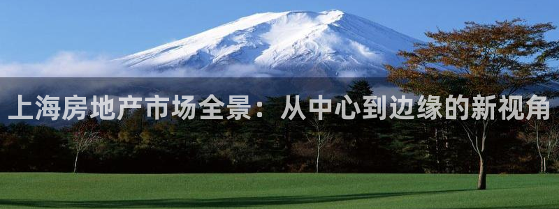 和记黄埔公司官网：上海房地产市场全景：从中心到边缘的新视角