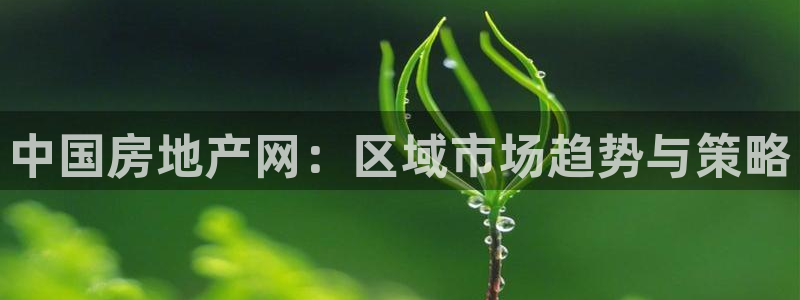 澳门和记电信官网：中国房地产网：区域市场趋势与策略