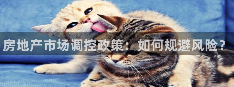 h88和记官网