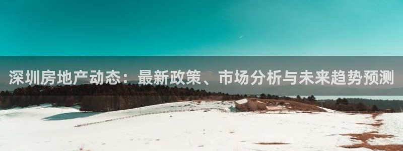 和记官网 公司：深圳房地产动态：最新政策、市场分析与未来趋势