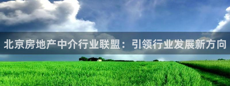 香港长江和记官网：北京房地产中介行业联盟：引领行业发展新方向