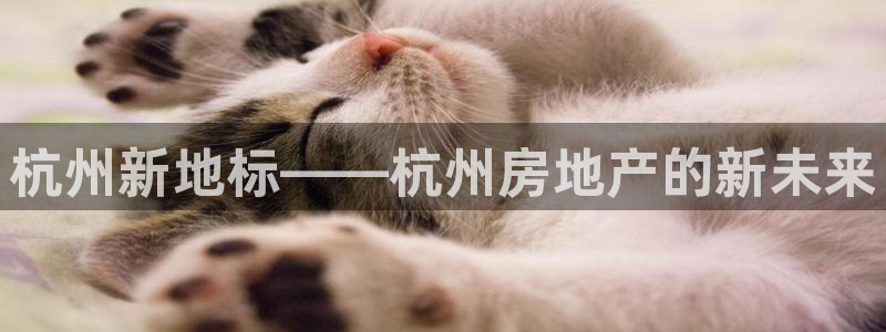和记娱真好h88285官网：杭州新地标——杭州房地产的新未来