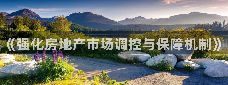 和记旗舰官网：《强化房地产市场调控与保障机制》
